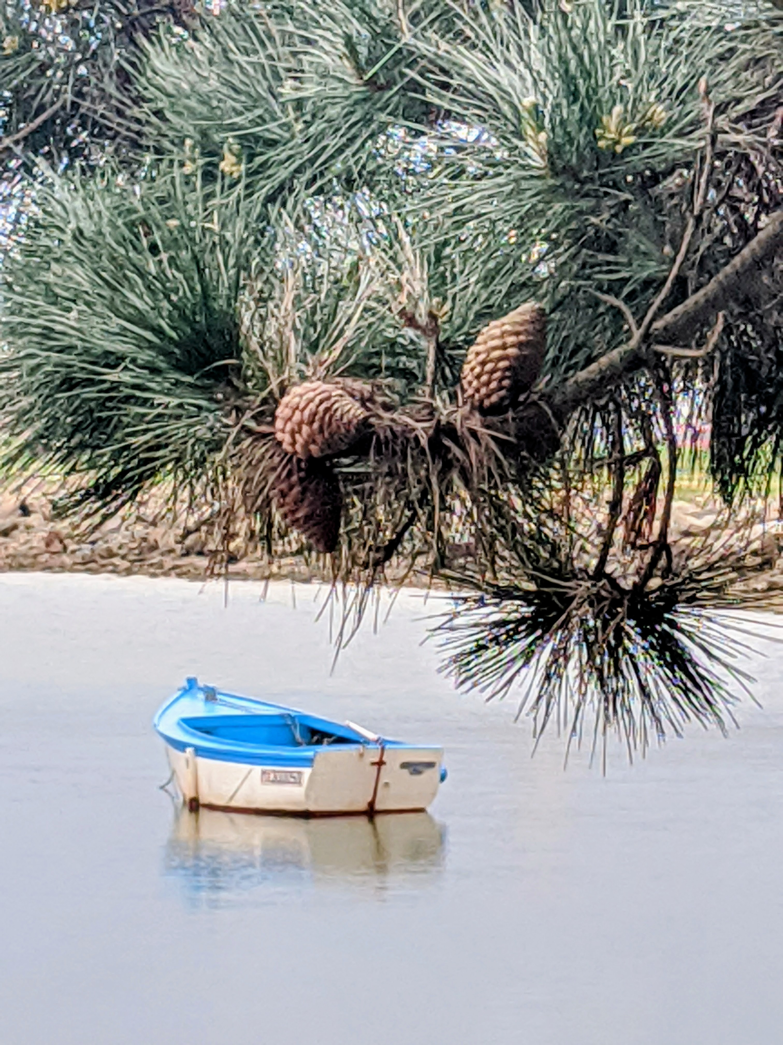 Waiting for photo....